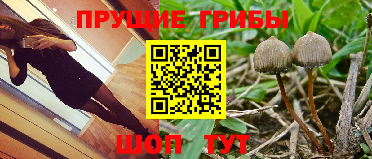 Галлюциногенные грибы GOLDEN TEACHER Горно-Алтайск